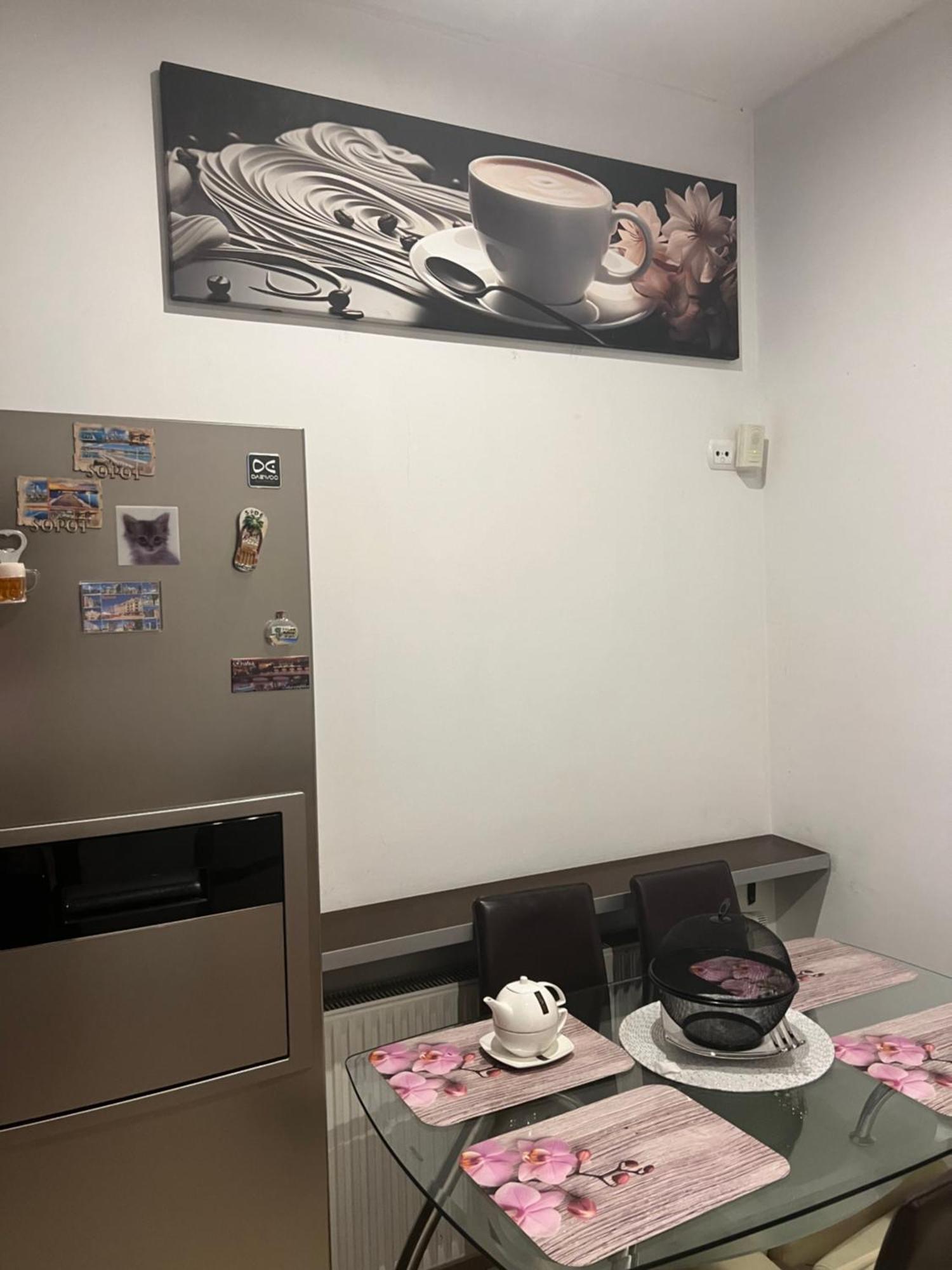 Muszelka Apartment *